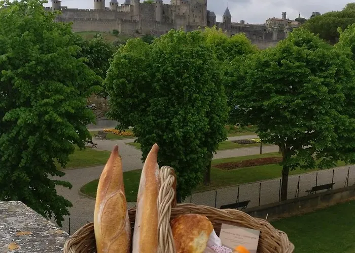 L'onde Des Berges De L'aude * 卡尔卡松